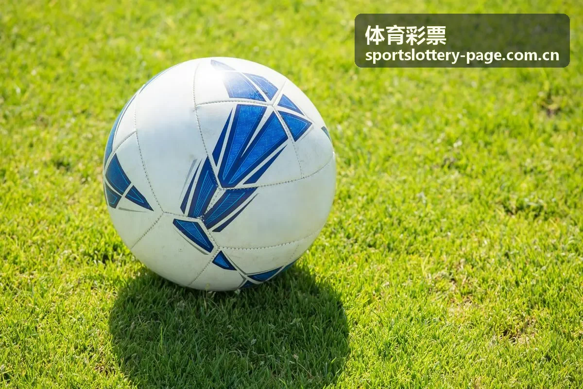 体育彩票票面与风险提示主题图片